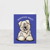 ソフトコートウィートテリア カード (正面)