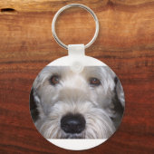 ソフトコートウィートテリア キーホルダー (正面)