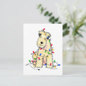 ソフトコートウィートテリア – クリスマス (スタンド正面)