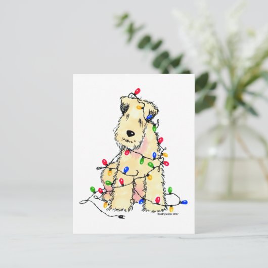 ソフトコートウィートテリア – クリスマス (スタンド正面)