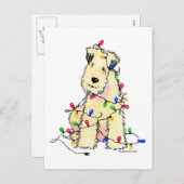 ソフトコートウィートテリア – クリスマス (正面/裏面)