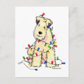 ソフトコートウィートテリア – クリスマス (正面)