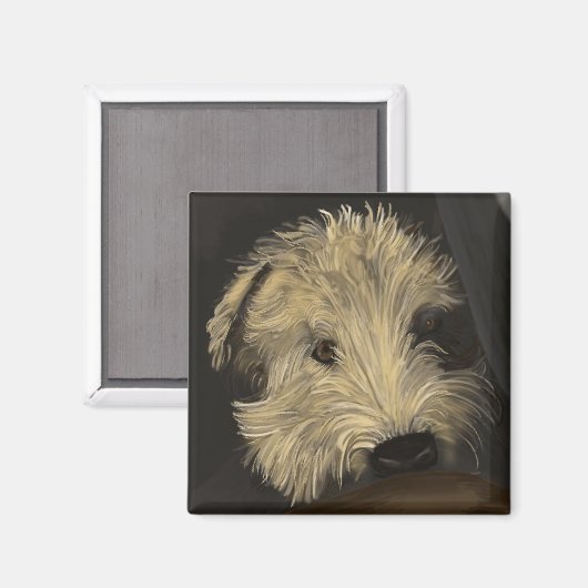 ソフトコートウィートテリア マグネット (正面/裏面)