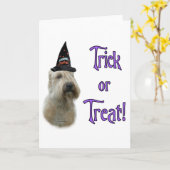 ソフトコートウィートトリックのグリーティングカード カード (黄色い花)