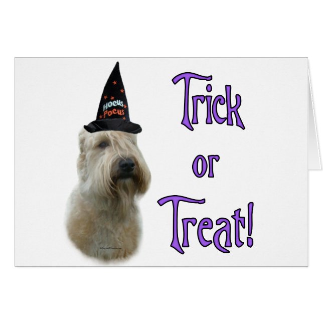 ソフトコートウィートトリック (正面横)