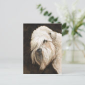 ソフトコートホイートンテリアドッグアートポストカード ポストカード (スタンド正面)