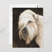 ソフトコートホイートンテリアドッグアートポストカード ポストカード (正面/裏面)