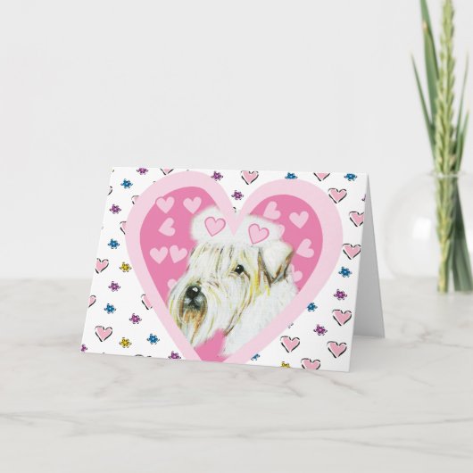 ソフトコートホイートンテリア シーズンカード (正面)