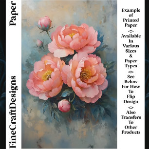 ソフトコーラルピンク牡丹開花、芽CR2クラフト紙