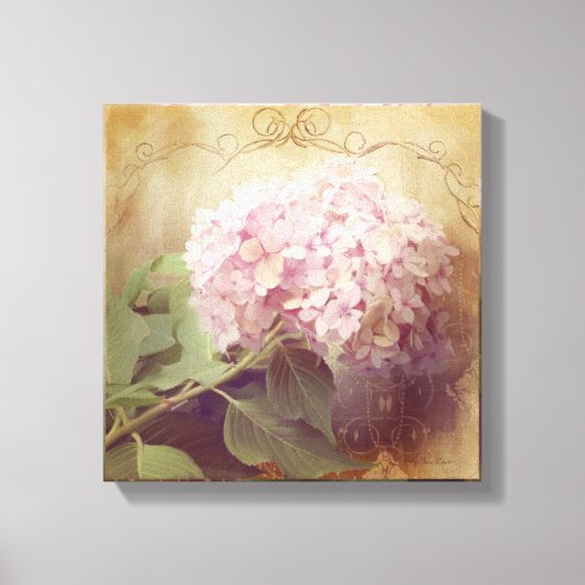 ソフトサマー2ピンクアジサイフローラヴィンテージ キャンバスプリント (正面)