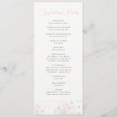 ソフトティーバラ結婚ズ プログラム (裏面)