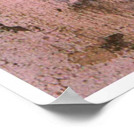 ソフトハットの自己肖像画、エドガー・デガス1857 ポスター (角)