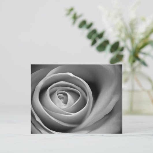 ソフトバラセンター – 白黒の写真 ポストカード (スタンド正面)