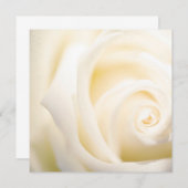 ソフトバラプリントフラットカード (正面/裏面)