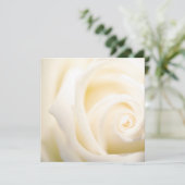 ソフトバラプリントフラットカード (スタンド正面)