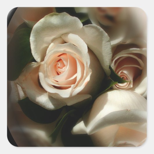 ソフトバラ封筒シール スクエアシール (正面)