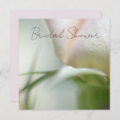 ソフトバラ招待状 招待状 (正面/裏面)