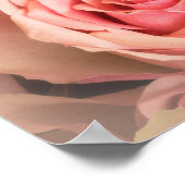 ソフトバラ赤面 ポスター (角)