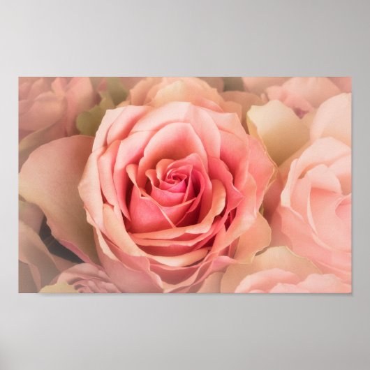 ソフトバラ赤面 ポスター (正面)