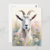 ソフトパステルフラワーフィールドヤギポートレート ポストカード (正面/裏面)