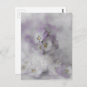 ソフトパンジー ポストカード (正面/裏面)
