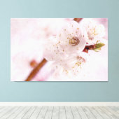 ソフトピンクのアプリコットの花の春 キャンバスプリント (インサイチュ (ウッドフロア))