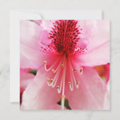 ソフトピンクのシャクナゲの花々90歳の誕生日パーティー 招待状 (裏面)