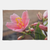 ソフトピンクのジャトロファの花 キッチンタオル (横)