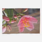 ソフトピンクのジャトロファの花 キッチンタオル (横)