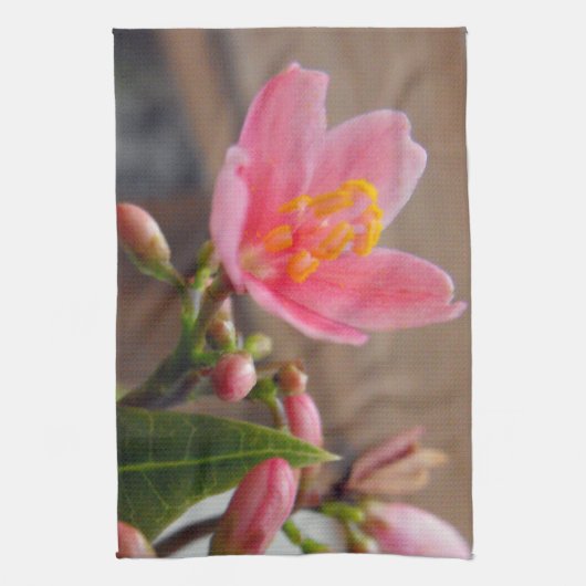 ソフトピンクのジャトロファの花 キッチンタオル (縦)