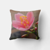 ソフトピンクのジャトロファの花 クッション (裏面)