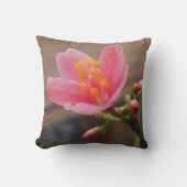 ソフトピンクのジャトロファの花 クッション (正面)