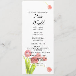 ソフトピンクのチューリップ プログラム