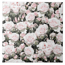 ソフトピンクのバラ