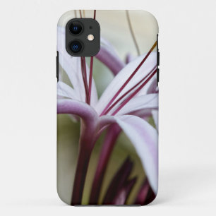 ソフトピンクのユリの花の植物学的な写真アート iPhone 11 ケース