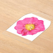 ソフトピンクの芍薬の花 ボタニカルアクリル アクリル招待状 (レイダウン)