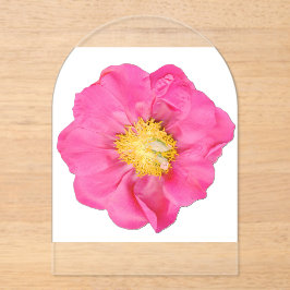 ソフトピンクの芍薬の花 ボタニカルアクリル アクリル招待状