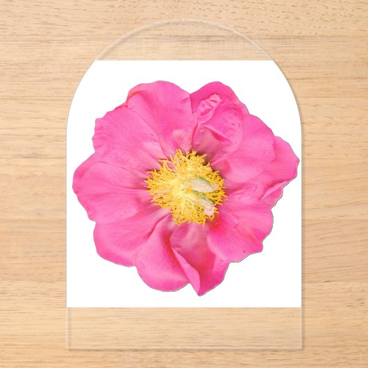 ソフトピンクの芍薬の花 ボタニカルアクリル アクリル招待状 (正面)
