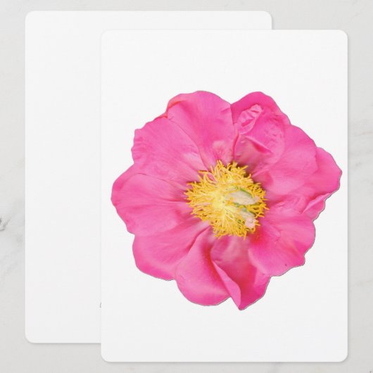 ソフトピンクの芍薬の花 ボタニカルアートカード 招待状 (正面/裏面)