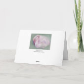 ソフトピンクフラミンゴパーソナライズされた誕生日 カード (裏面)