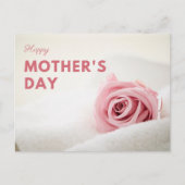 ソフトピンクローズマザーズデイ ポストカード (正面)