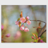 ソフトピンク柔らかい桜の花 ラッピングペーパー (フラット)