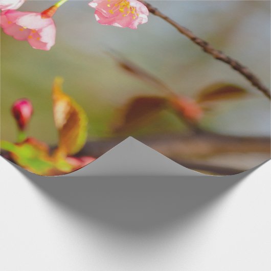 ソフトピンク柔らかい桜の花 ラッピングペーパー (角)