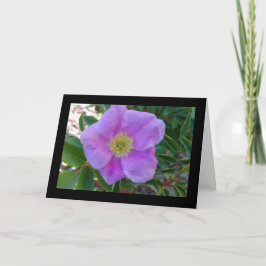 ソフトピンク開花 – ソルの歌。8:7グリーティングカード カード