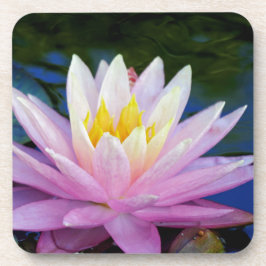 ソフトピンク《植物》スイレン コースター