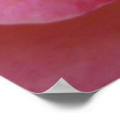 ソフトピーチ(1)ポスター ポスター (角)