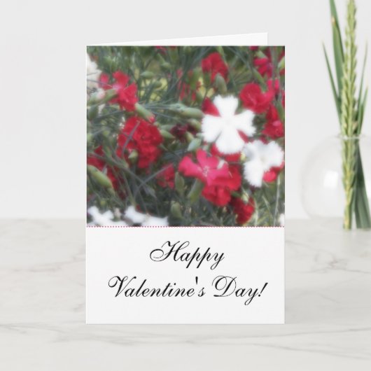 ソフトフローラD5ハッピーバレンタインデーカード シーズンカード (正面)