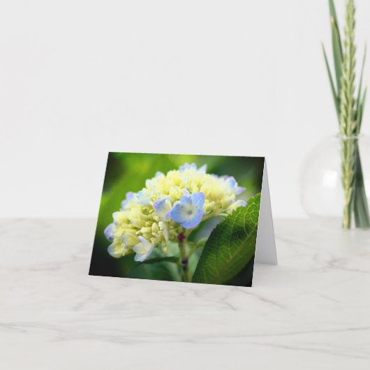 ソフトブルーアジサイの花の写真メモ カード (正面)