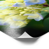 ソフトブルーアジサイ花花びら8x10 フォトプリント            (角)