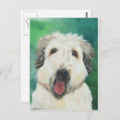 ソフトホイートンテリア犬の画像 ポストカード (正面/裏面)